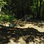 img_20200908_165553.jpg