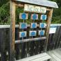 img_20201004_150811.jpg