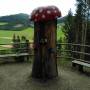 img_20201004_154814.jpg