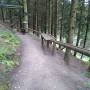 img_20201004_153759.jpg