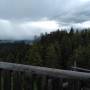 img_20201004_151030.jpg